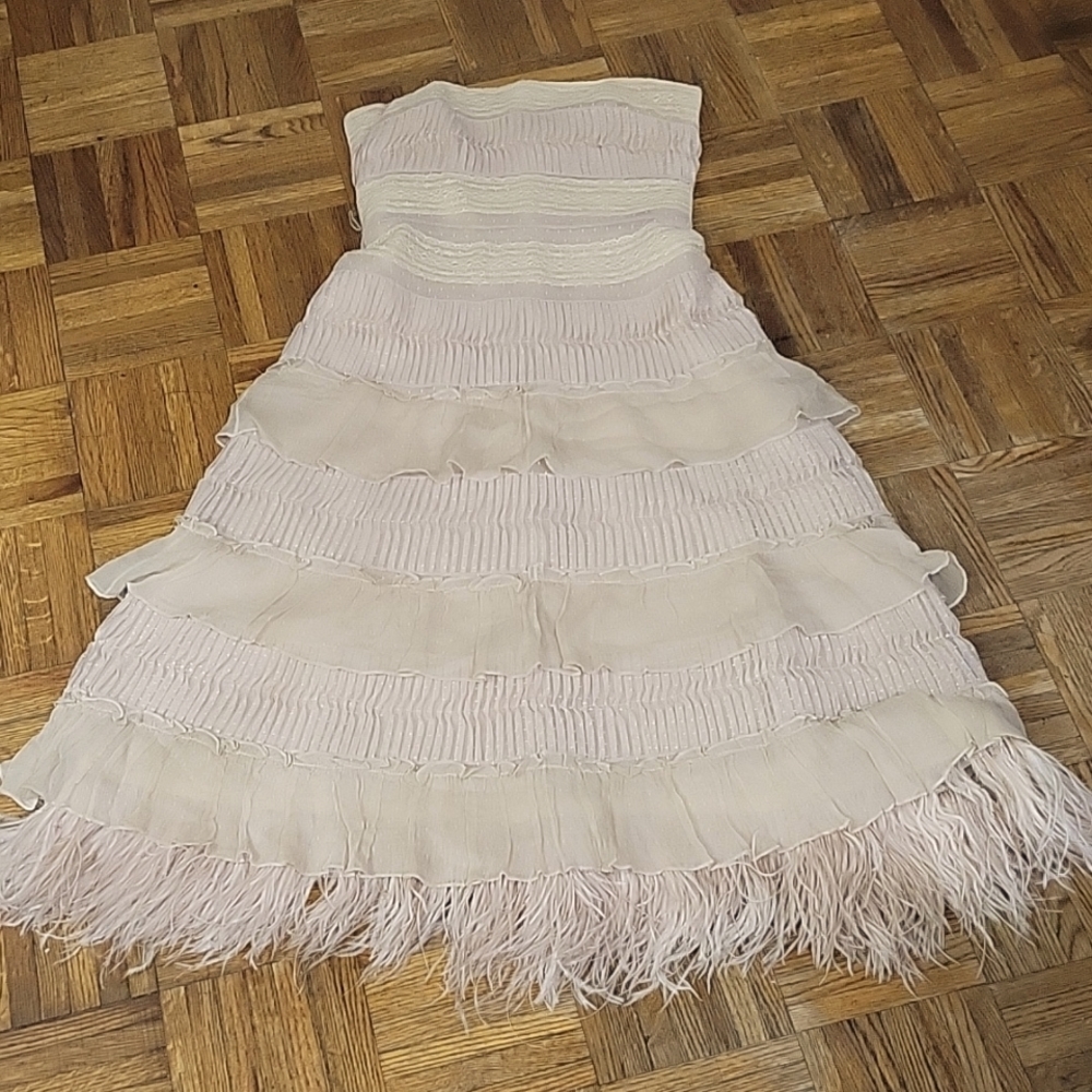 Ostrich feather Dress